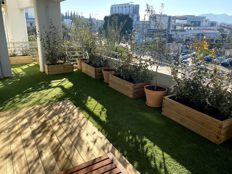 Apartment Spacious And Sunkissed 3br & 2 Bathrooms Athens